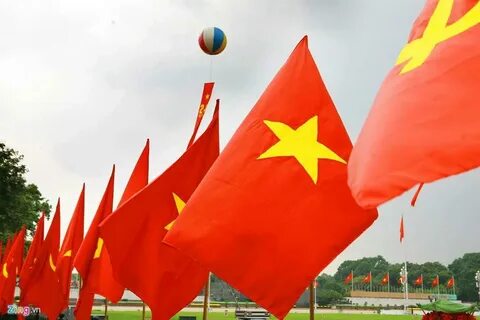 Tiền đạo Brazil lập công, áp sát vị trí số 1 của Tiến Linh_tiếp thị kỹ thuật số