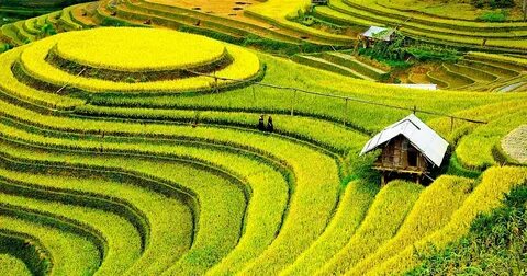 Top 10 trường tỷ lệ 'chọi' vào lớp 10 cao nhất TP.HCM 2025_Gói tiếp thị kỹ thuật số dịch vụ